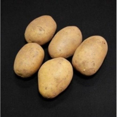 Duke of York First Early Seed Potatoes 25kg