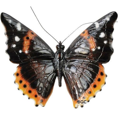 Butterfly Glossy Wallhanger Brown Vivid Arts