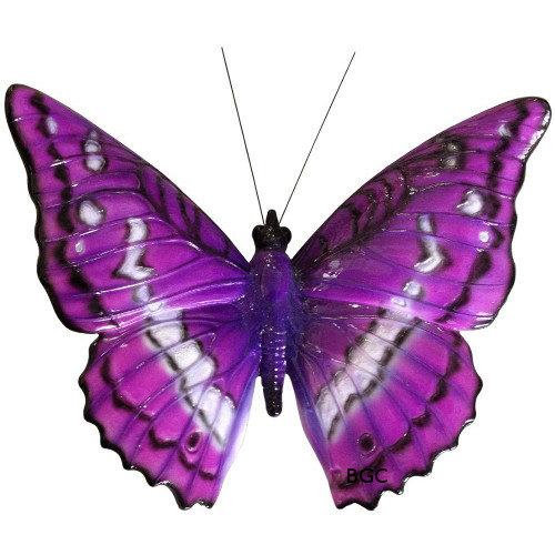 Butterfly Glossy Wallhanger Purple Vivid Arts