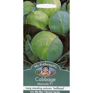 Vegetable Seeds - Mr Fothergills