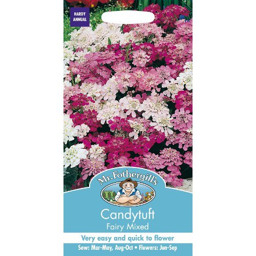 Candytuft Fairy Mixed Seeds By Mr Fothergills