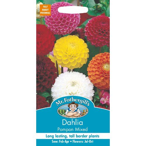 Dahlia Pompom Mixed Seeds By Mr Fothergills