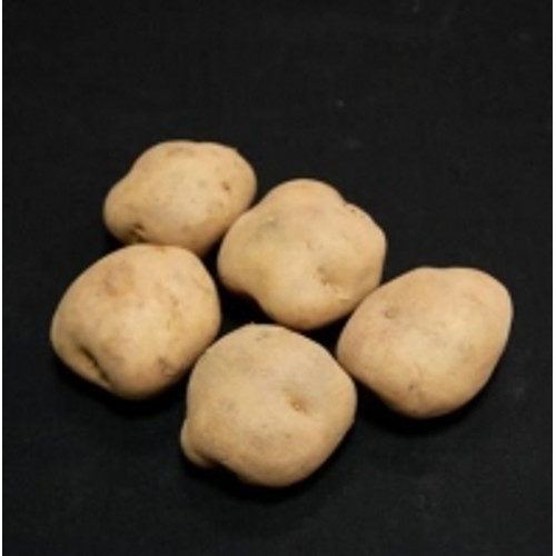 Epicure First Early Seed Potatoes 25kg
