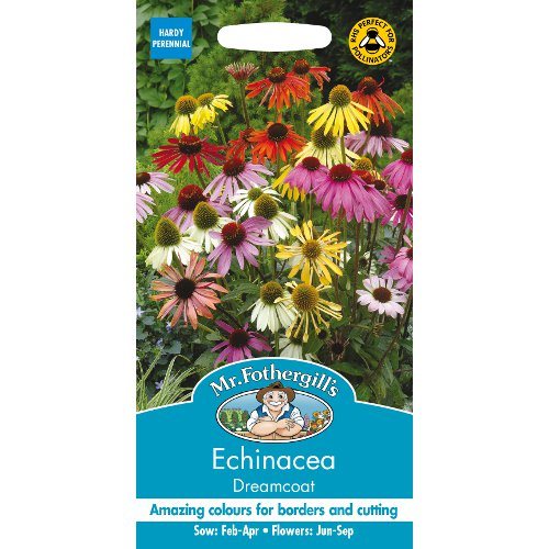 Echinacea Dreamcoat Seeds By Mr Fothergills