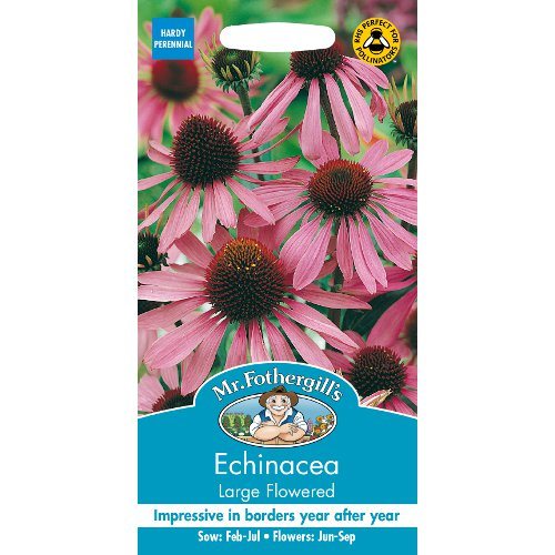 Echinacea Large Flowered Seeds By Mr Fothergills