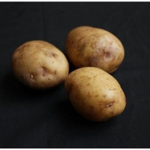 Bulk Bags 25kg Seed Potatoes