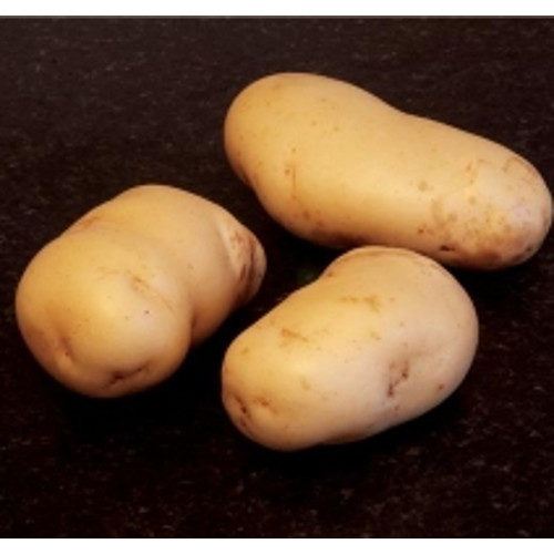 Lady Christl First Early Seed Potatoes 25kg