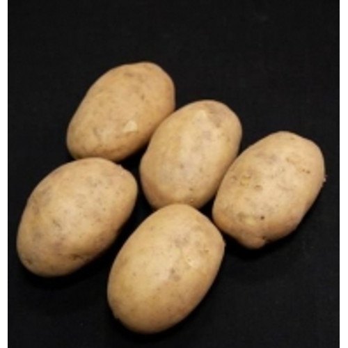 Maris Bard First Early Seed Potatoes 25kg