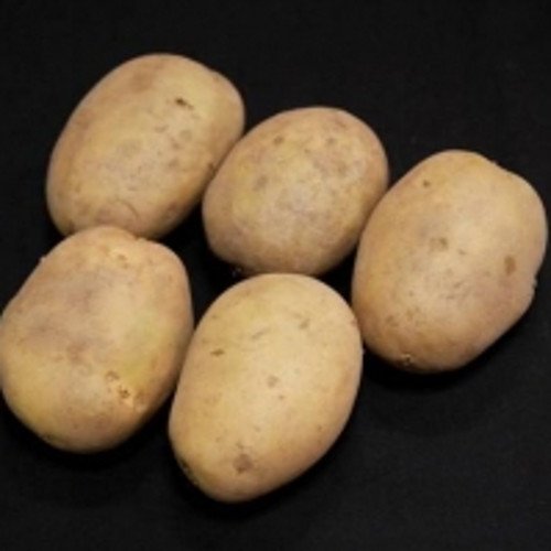 Premiere First Early Seed Potatoes 1 Kilo