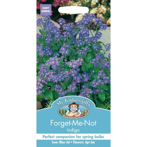 Forget-Me-Not Indigo Seeds By Mr Fothergills