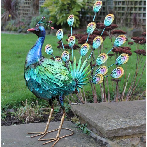Greenkey Hand Painted Metal Peacock Fantail 587