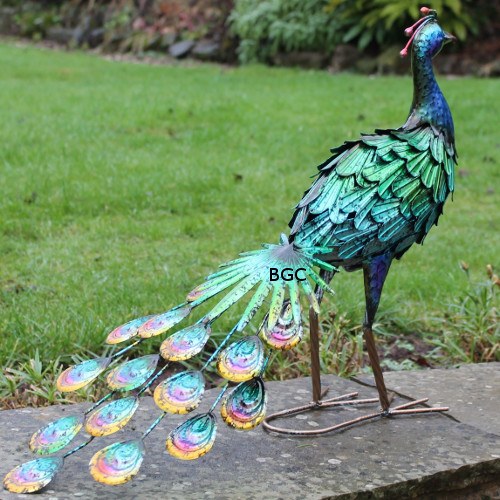  Greenkey Metal Peacock Facing Forward 588