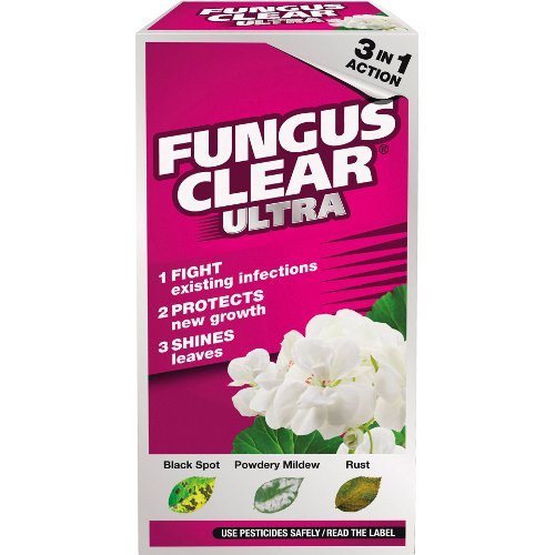 Fungicides for the Garden