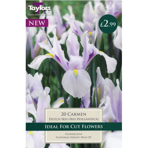 Iris Bulbs by Taylors Bulbs