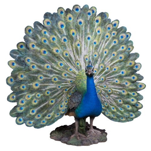 Proud Peacock Resin Ornament Vivid Arts