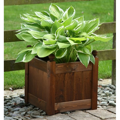 AFK Chestnut Stained Acorn Planter Small