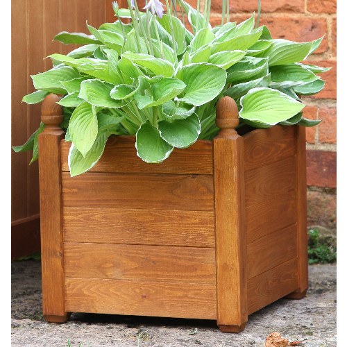 AFK Beech Stained Acorn Planter Large