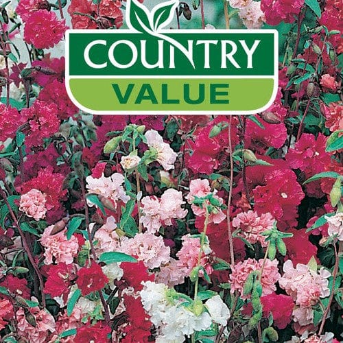 Country Value Flowers